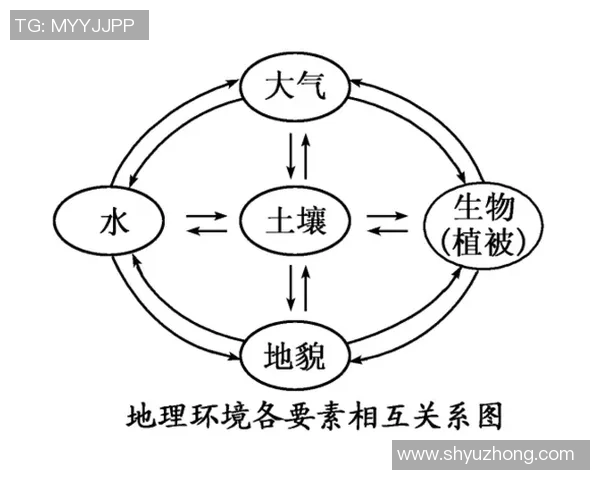 多伦多与亚特兰大对决解析城市文化与经济发展的差异与影响